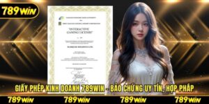 Giấy Phép Kinh Doanh 789win - Bảo Chứng Uy Tín, Hợp Pháp