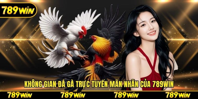 Không gian đá gà trực tuyến mãn nhãn của 789win