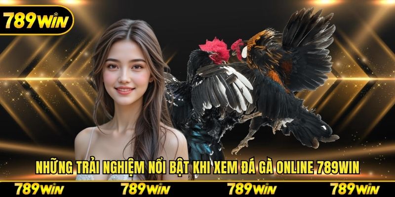 Những trải nghiệm nổi bật khi xem đá gà online 789win